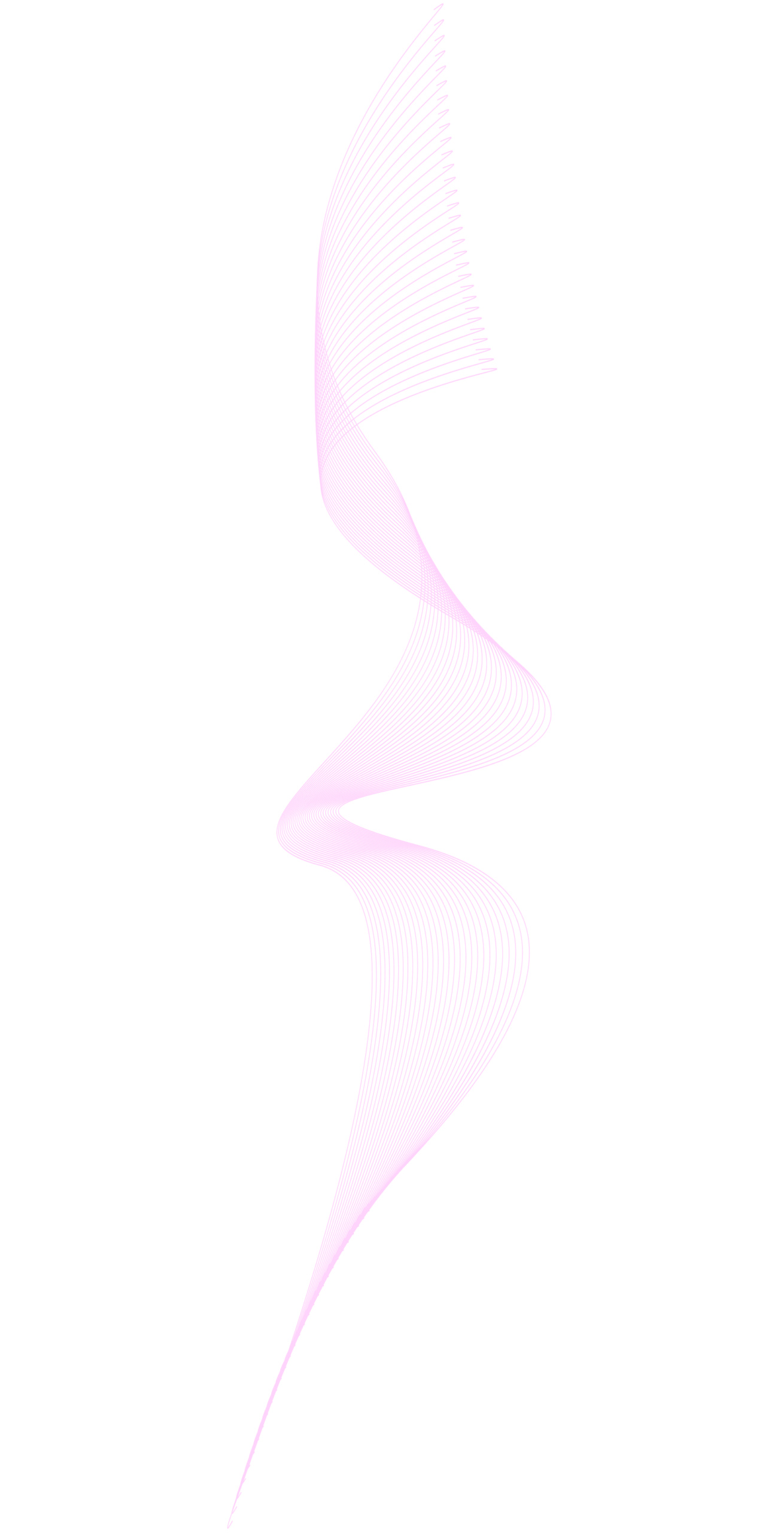 Decoração